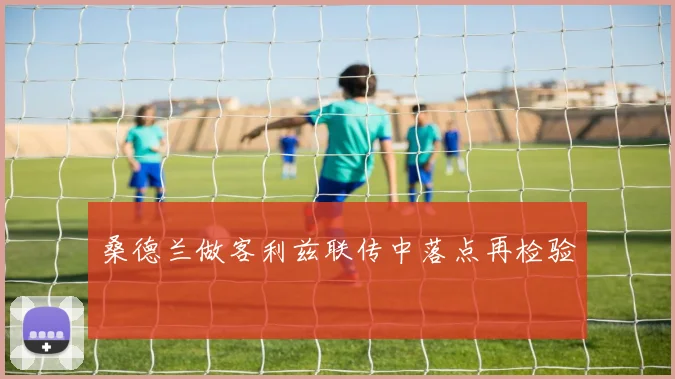 桑德兰做客利兹联传中落点再检验