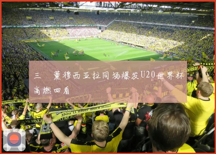 三笘薰穆西亚拉同场爆发U20世界杯高燃回看