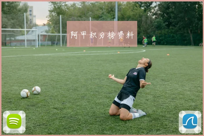 阿甲积分榜资料