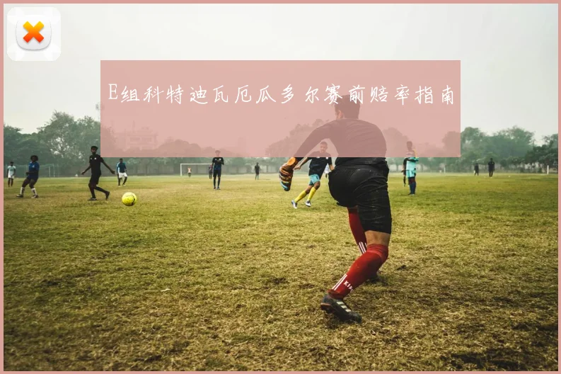 E组科特迪瓦厄瓜多尔赛前赔率指南