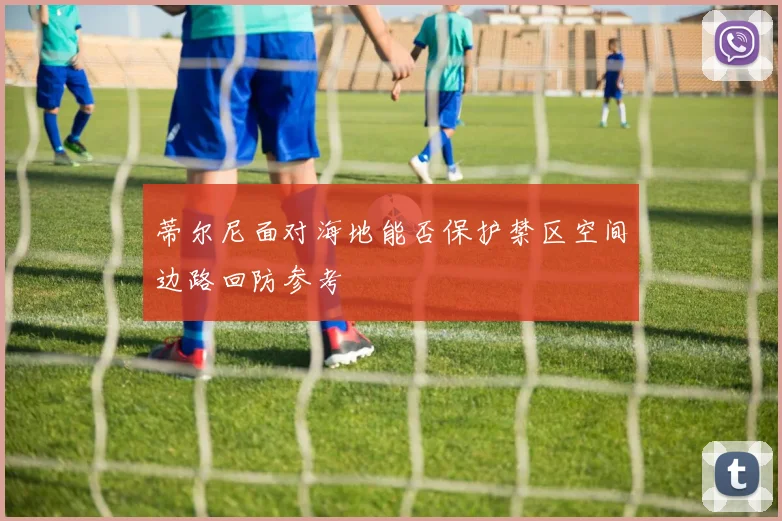 蒂尔尼面对海地能否保护禁区空间边路回防参考